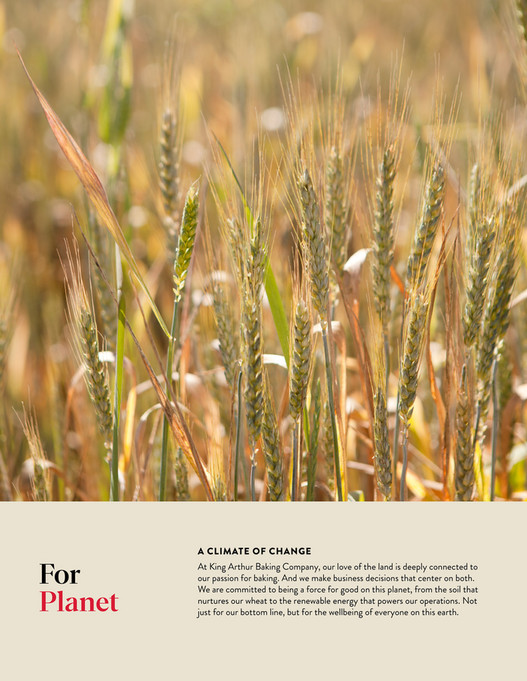 King arthur baking company 2023 impact report king arthur baking